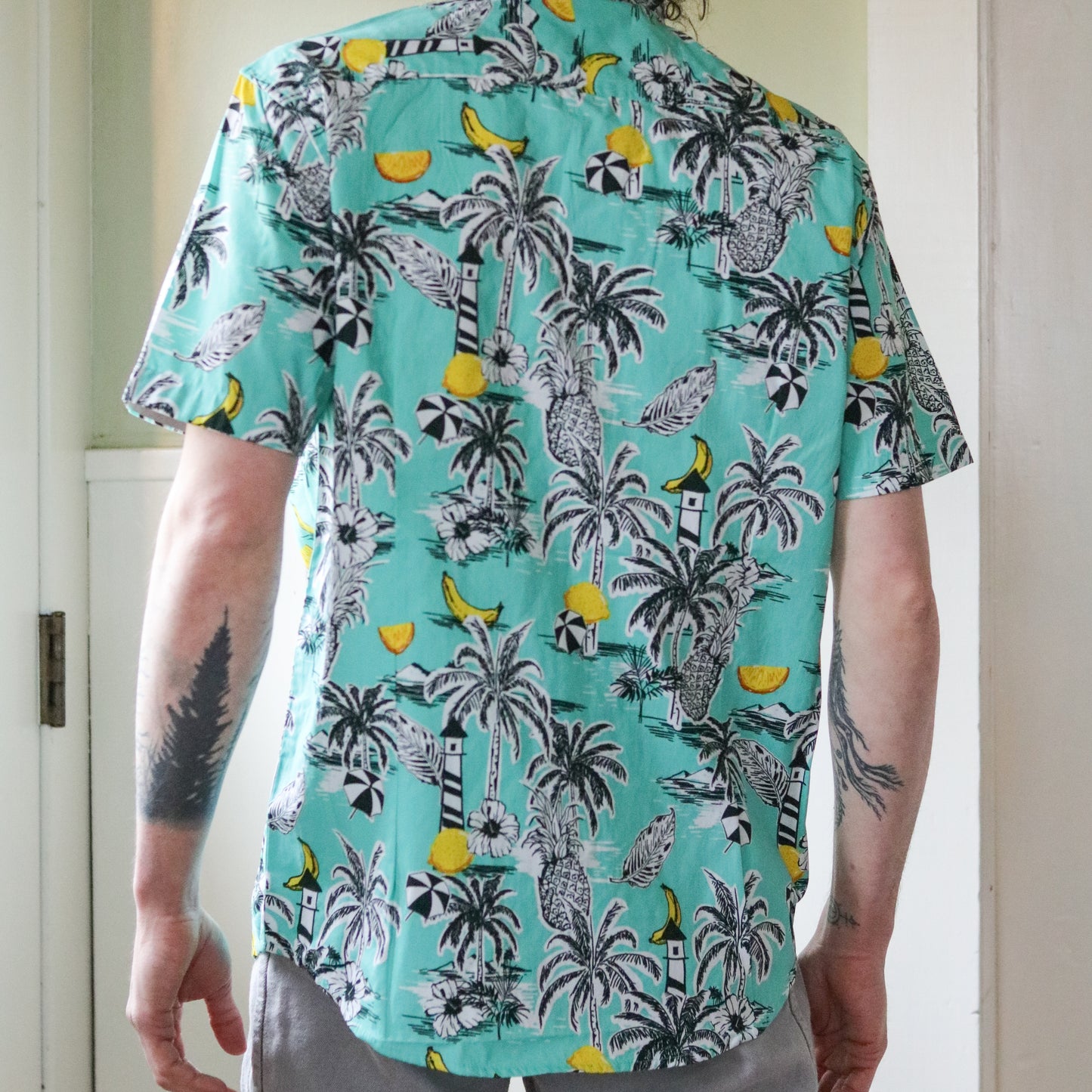Bermuda SS Buttondown